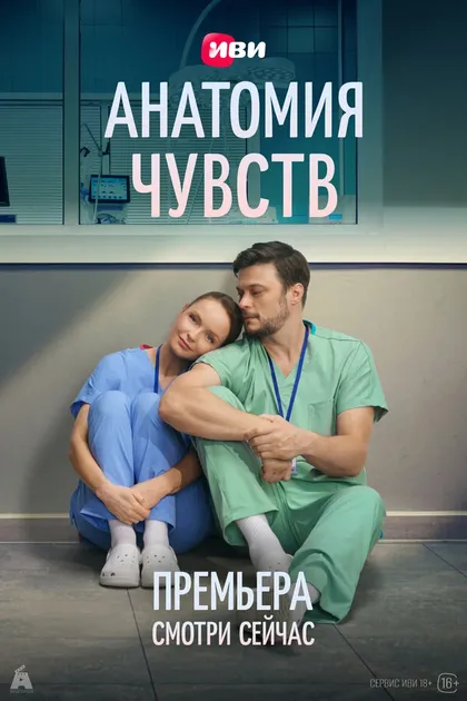 Постер Анатомия чувств